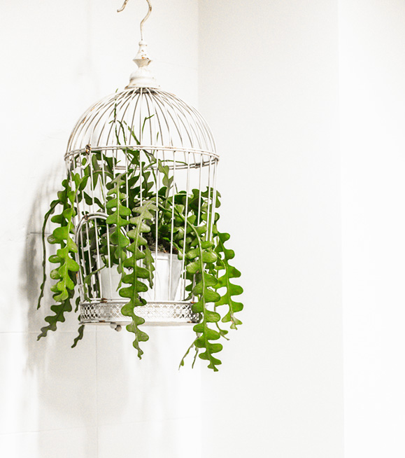 Dettaglio del salone